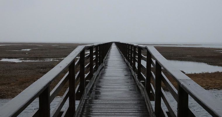 Rainy Day Activities on Cape Cod: Lower Cape