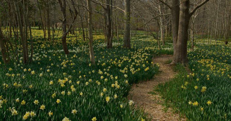 30 Trails in 30 Days: Exploring Picturesque Walking & Nature Trails from Boston to Cape Cod