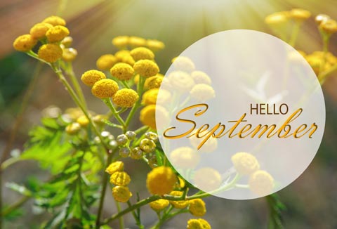 September Events From City, to Country, to Coast