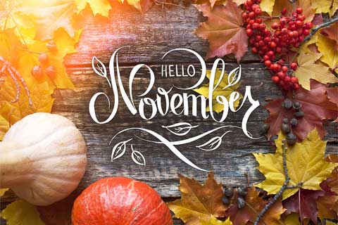 November Events from City, to Country, to Coast