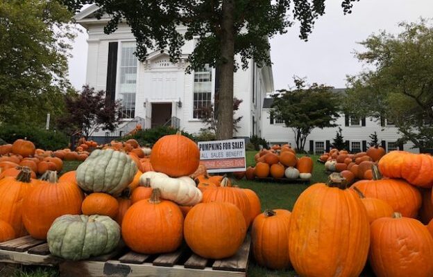 Pumpkin Patches to Explore over Columbus Day Weekend
