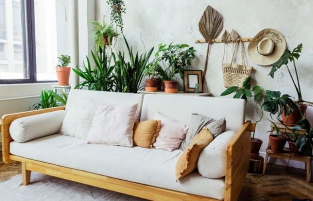 Biophilic Interior Design for a Happier Home