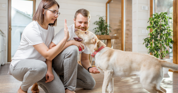 National Dog Month: Tips for a Dog-Friendly Home