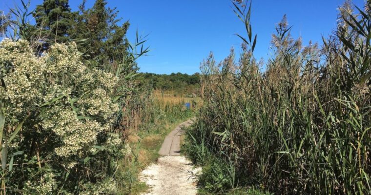 Walking Trails