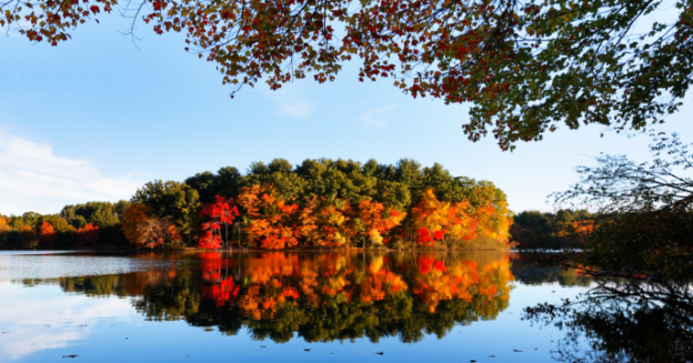 The Best Spots to See Fall Foliage in Eastern MA