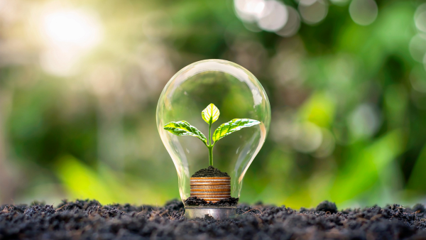 Be Green, Save Green: Energy Efficiency Tips