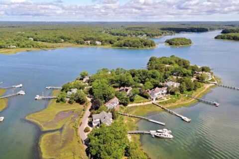 Daniels Island Real Estate: Discover Coastal Luxury
