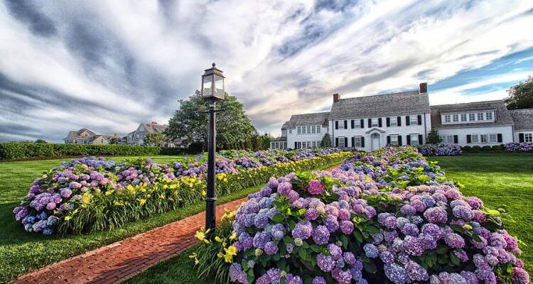 Cape Cod Hydrangea Festival