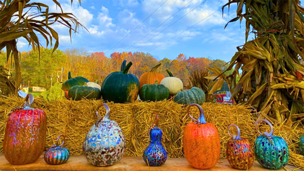 Top Fall Events on Cape Cod