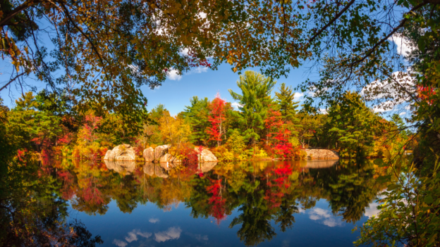 The Best Spots to See Fall Foliage in Eastern MA