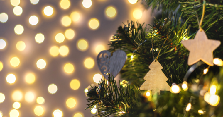 Favorite Spots for Christmas Trees on Cape Cod