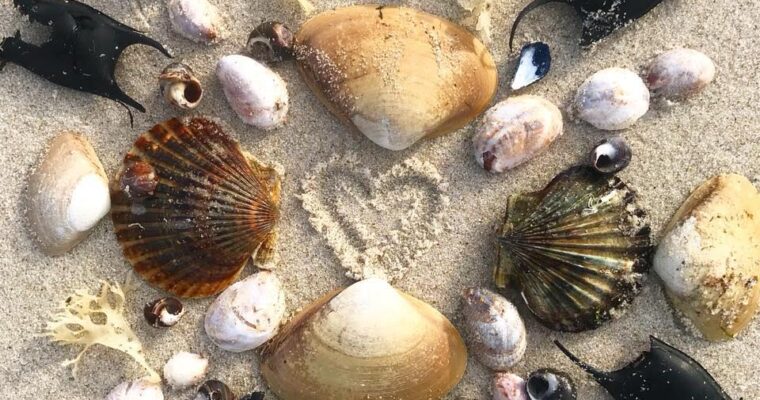 Cape Cod’s Best Kids Activities: Family Fun for Your Next Vacation