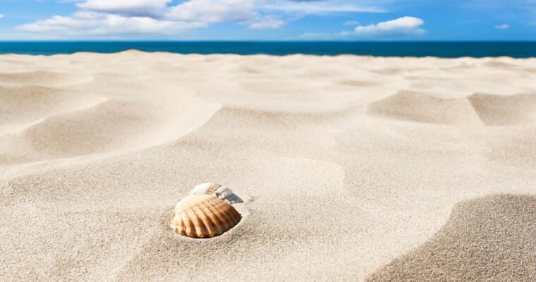 Cape Cod’s Best Secret Spots to Explore This Summer