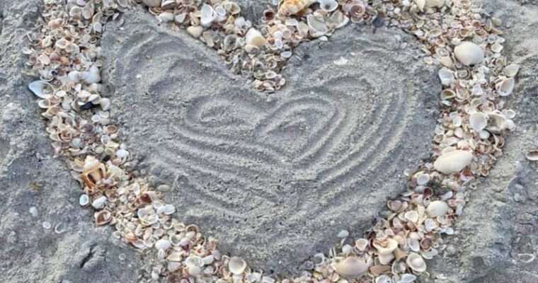 When to Book Your Cape Cod Summer 2026 Vacation