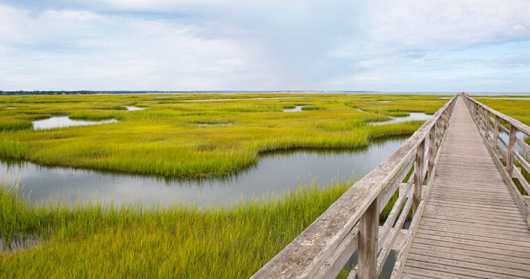 Best Walking Trails on Cape Cod: Beaches, Boardwalks & Scenic Paths