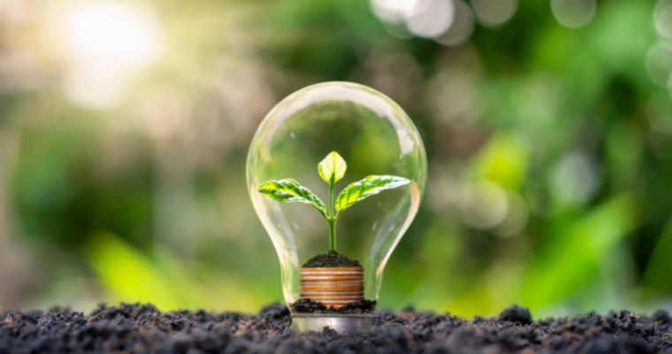 Energy Efficiency Tips for Homeowners