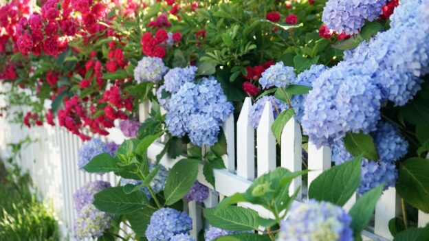 Best Plants for Massachusetts Gardens (Spring Prep Guide)