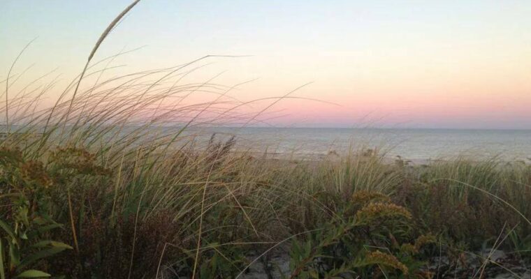 Day Trip to Nantucket from Cape Cod: The Perfect Island Escape While Staying on Cape Cod
