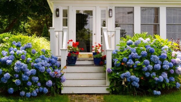 Late-Summer Home Maintenance Tips That Protect Home Value