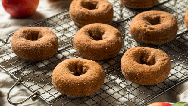 Best Apple Cider Donuts in Massachusetts: 16 Favorites