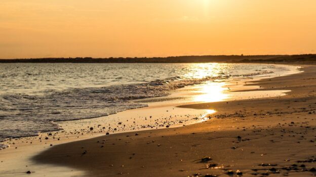 Best Beaches on the South Coast of Massachusetts: 7 Favorites